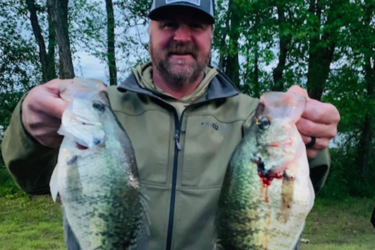 huge crappie